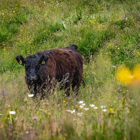 Naturlodge Gadestatt Экстерьер фото